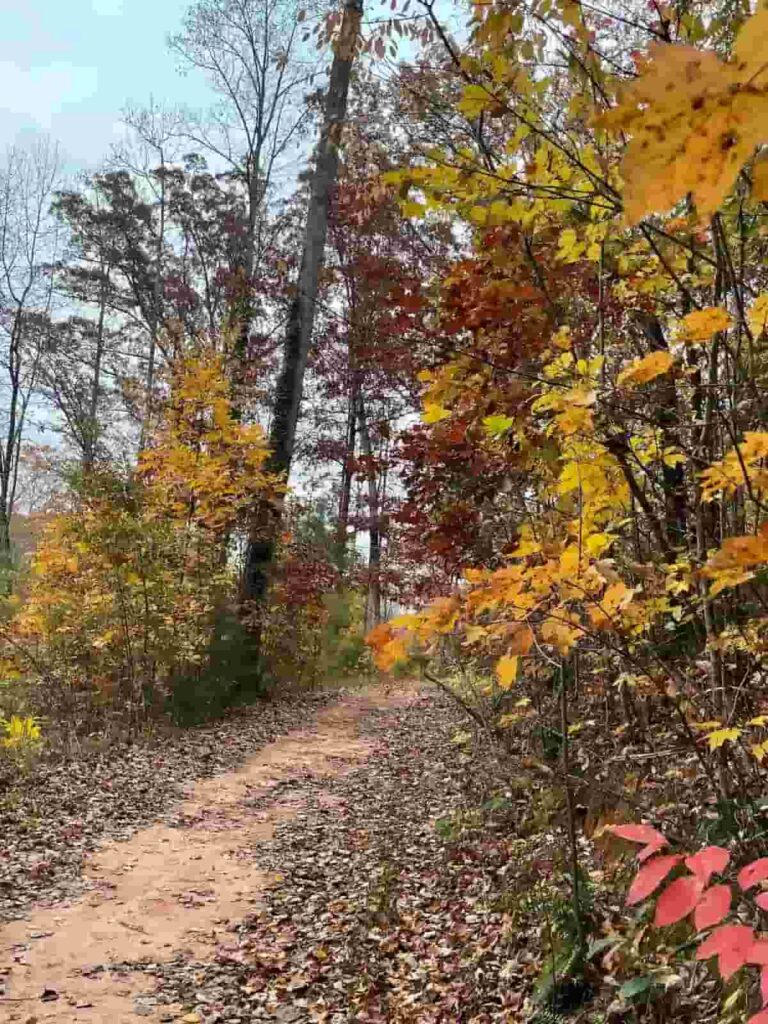 Keowee Falls RV Park Fall Trail 3