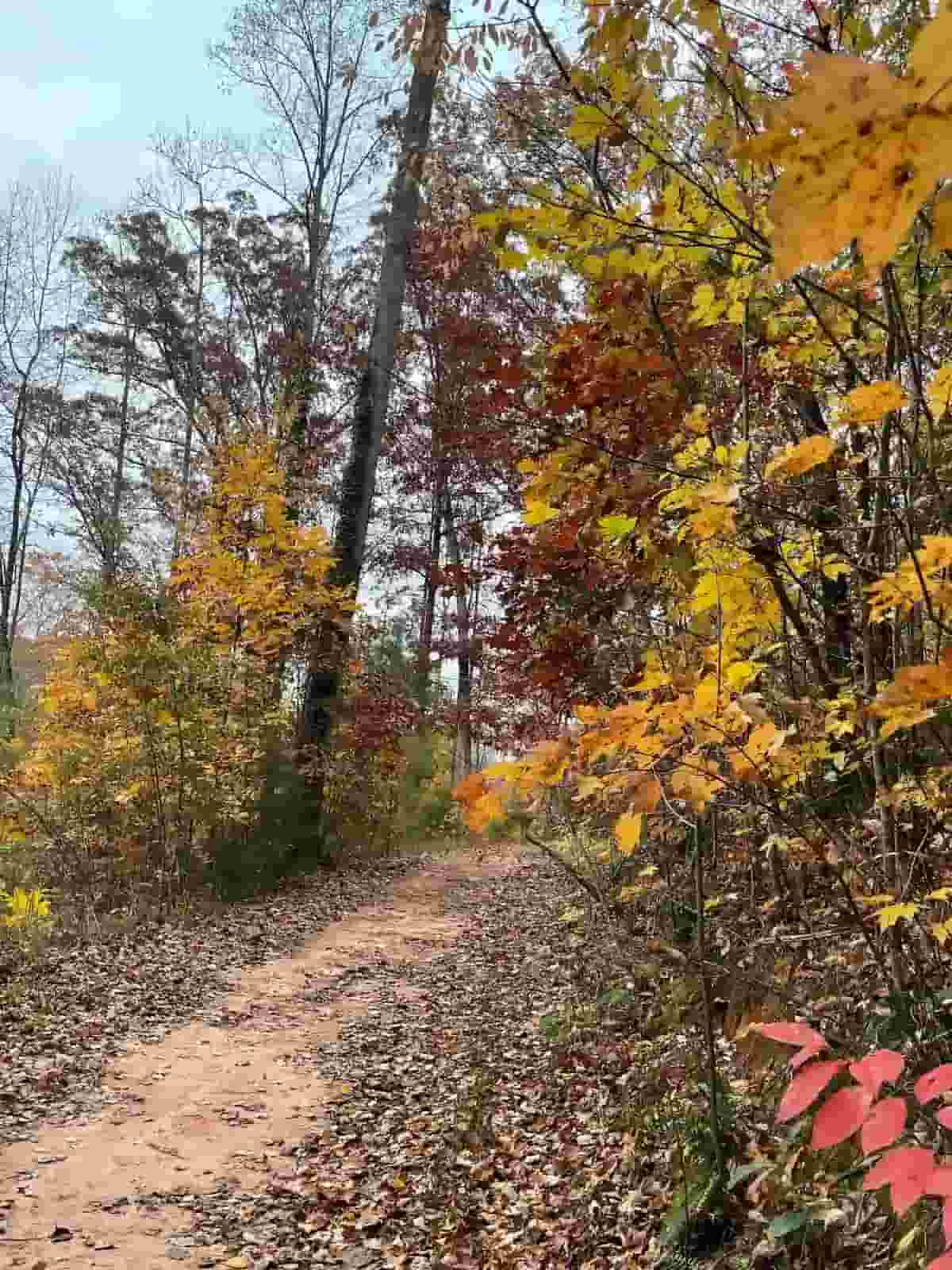 Keowee Lake RV Park Fall Trail 3