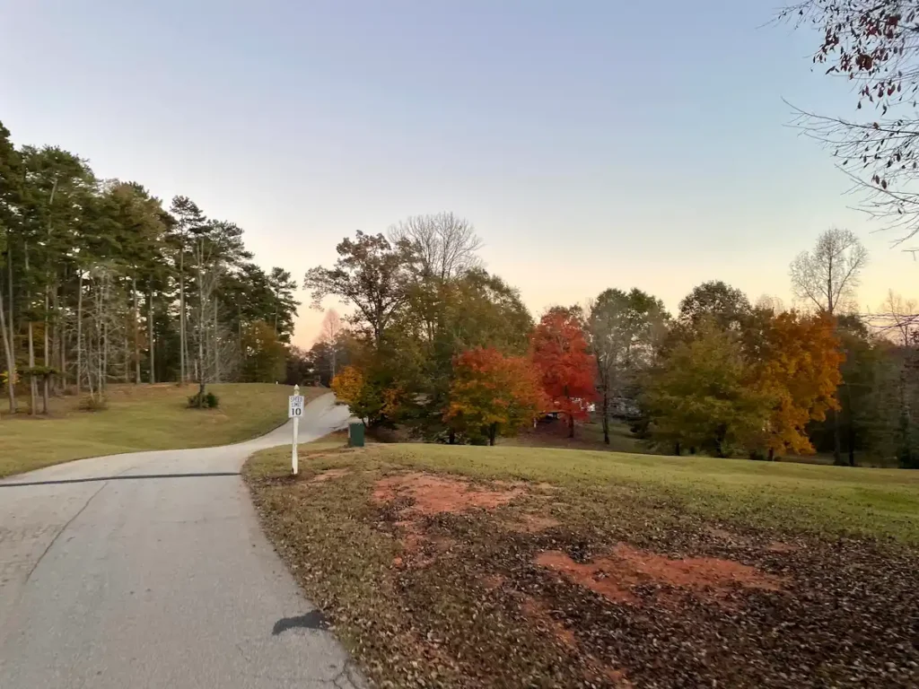 South Carolina Fall fields