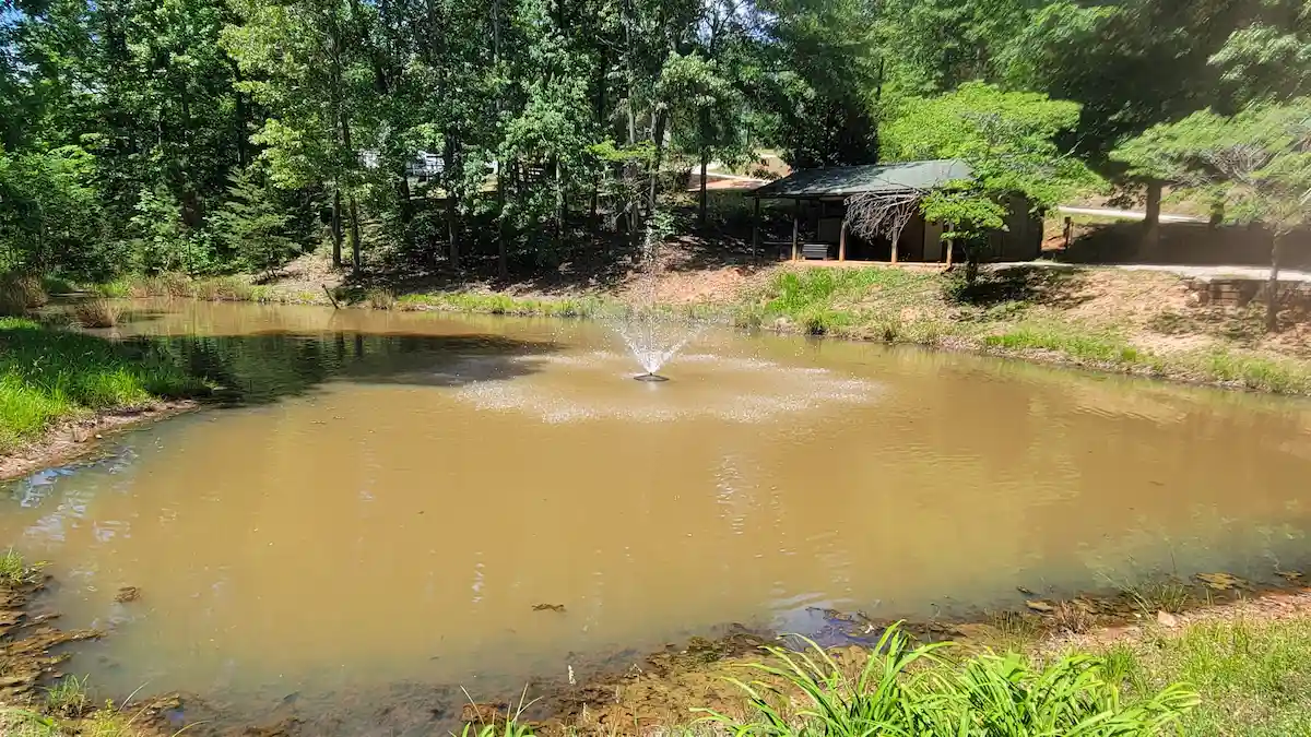 Small Pond