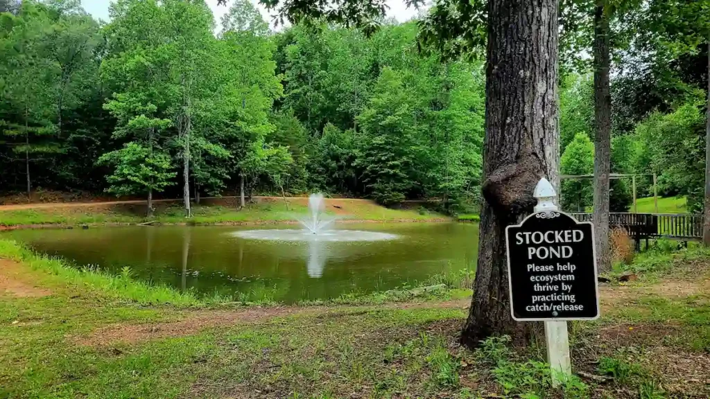Trophy Pond Overview